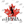 Load image into Gallery viewer, Canadian Maple Leaf Pickleball T-Shirt