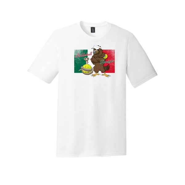 Mexico Flag Pickleball Amigos T-Shirt